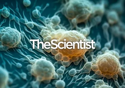 Modeling Human Disease and Development with Organoids Modeling Human Disease and Development with Organoids